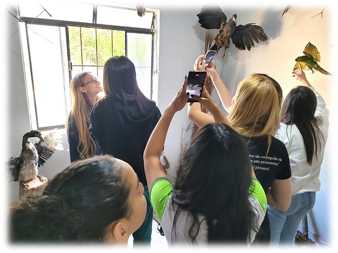 nutri museu 3