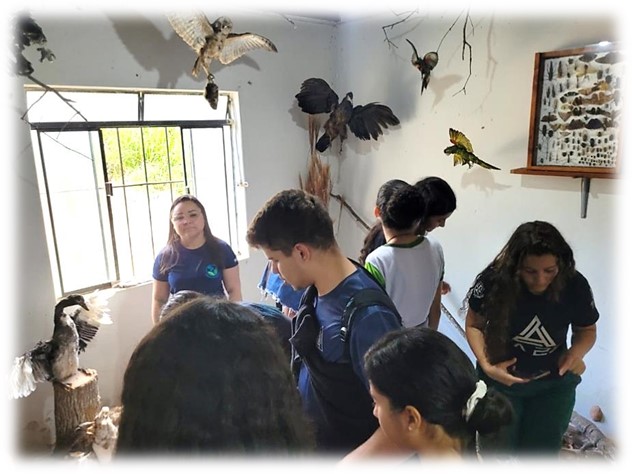 nutri museu 4