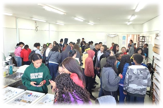 Imagem4