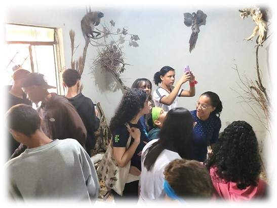Imagem8