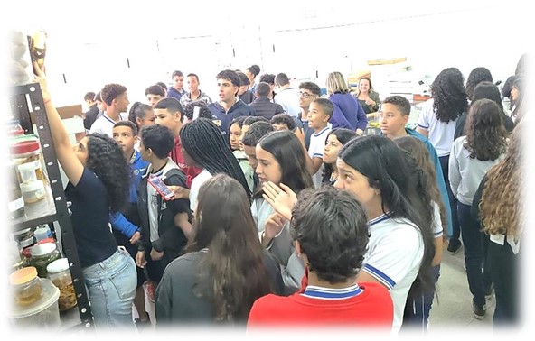 Imagem3