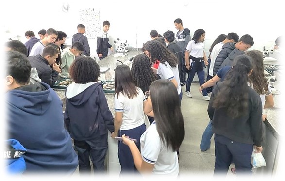Imagem5
