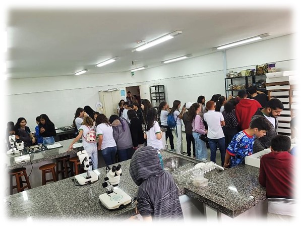 Imagem3
