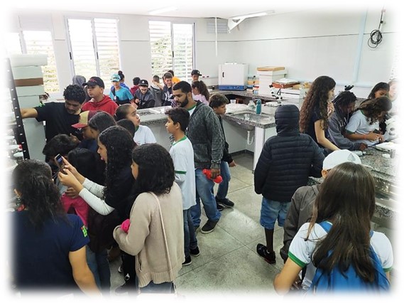 Imagem5