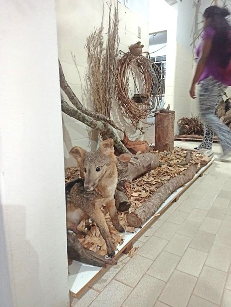 zoo