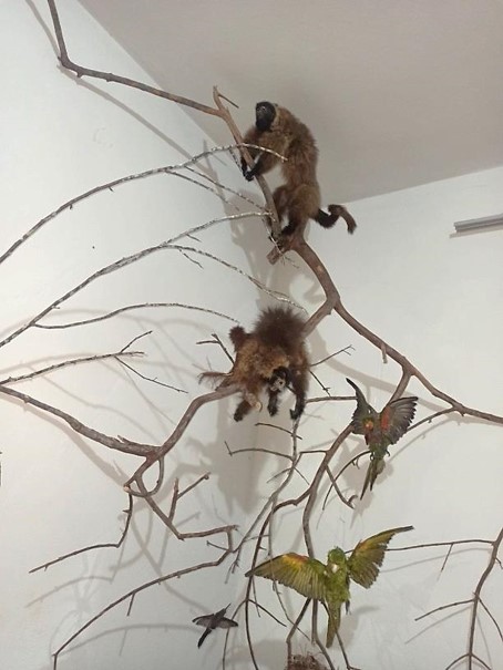 zoo4