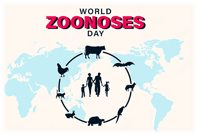 zoo8
